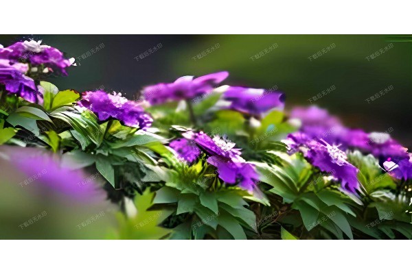 探寻杭州按摩文化的千年传承与演变